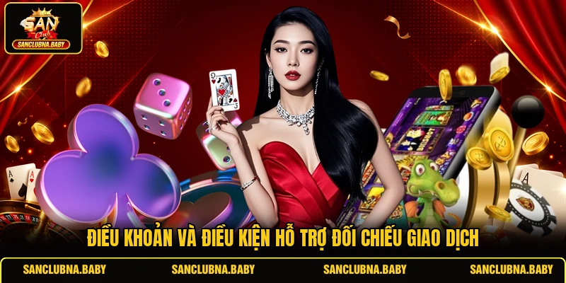 Điều khoản và điều kiện hỗ trợ đối chiếu giao dịch